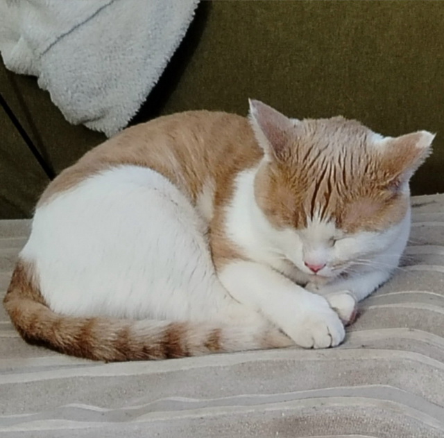 Аватара пользователя