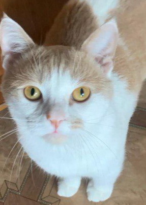 Аватара пользователя